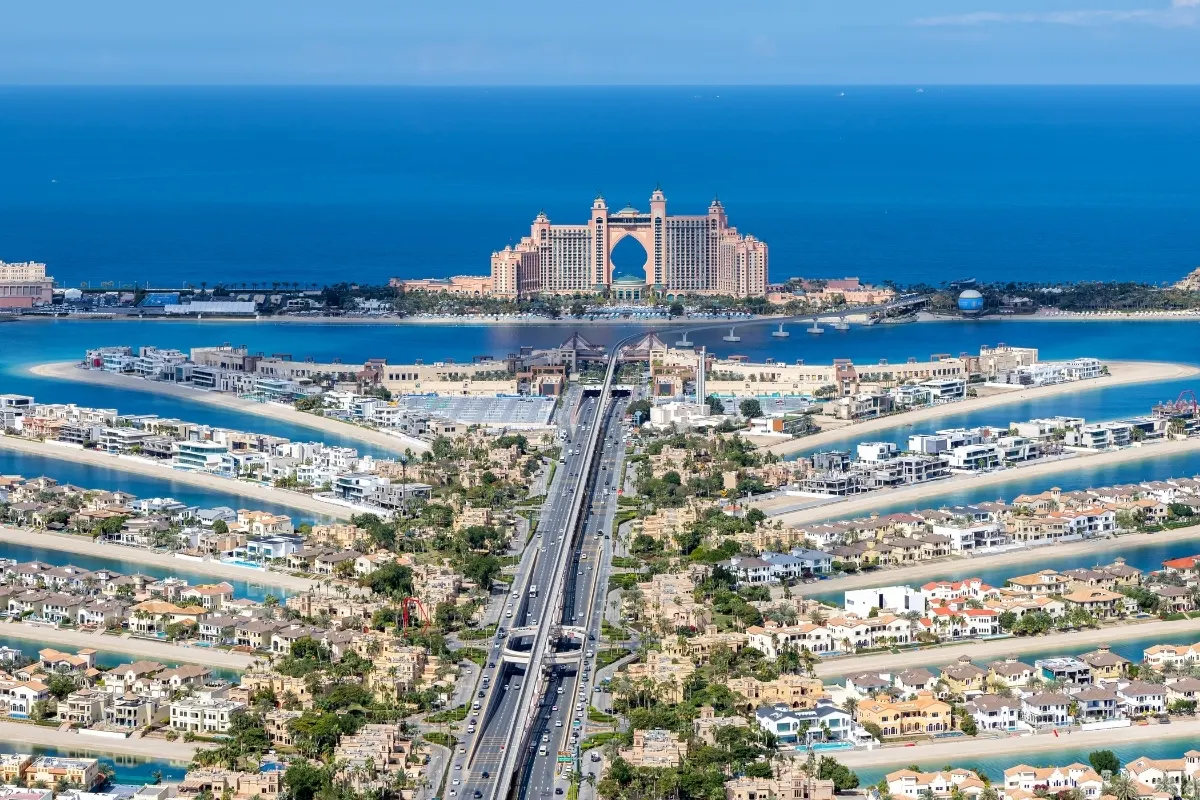 Atlantis Palm
