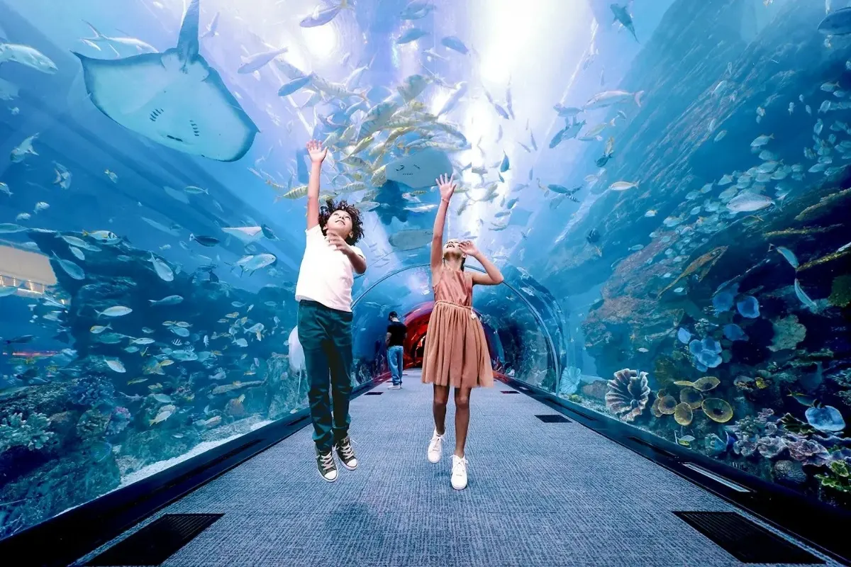 Tunnel Walk