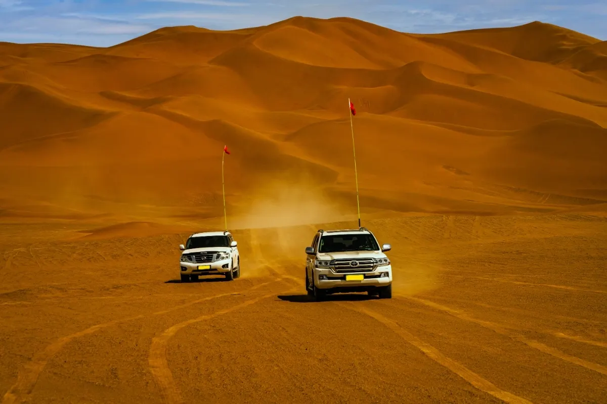 Desert Safari