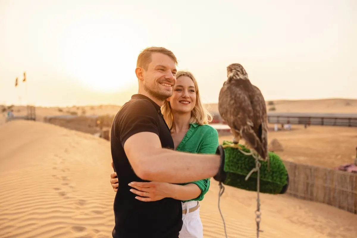 Falcon Handling