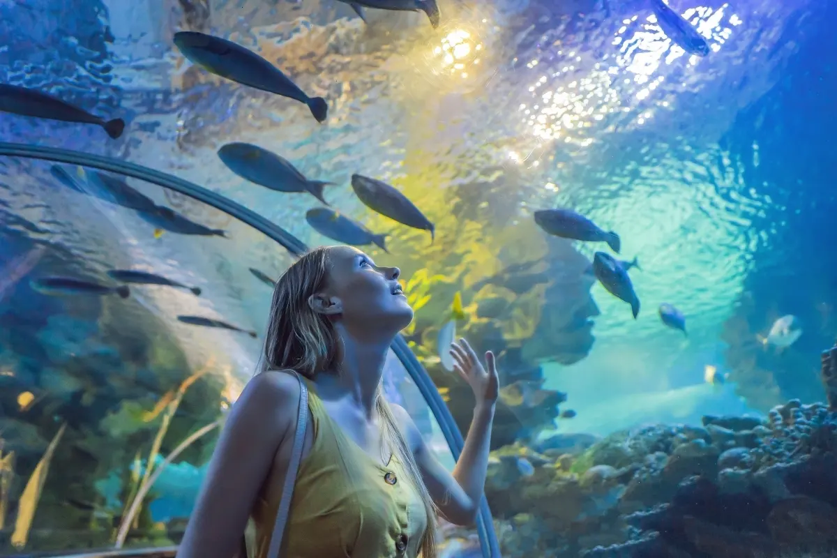 Dubai Aquarium