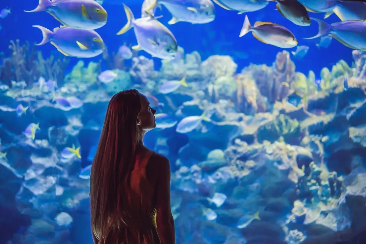 Aquarium Glass