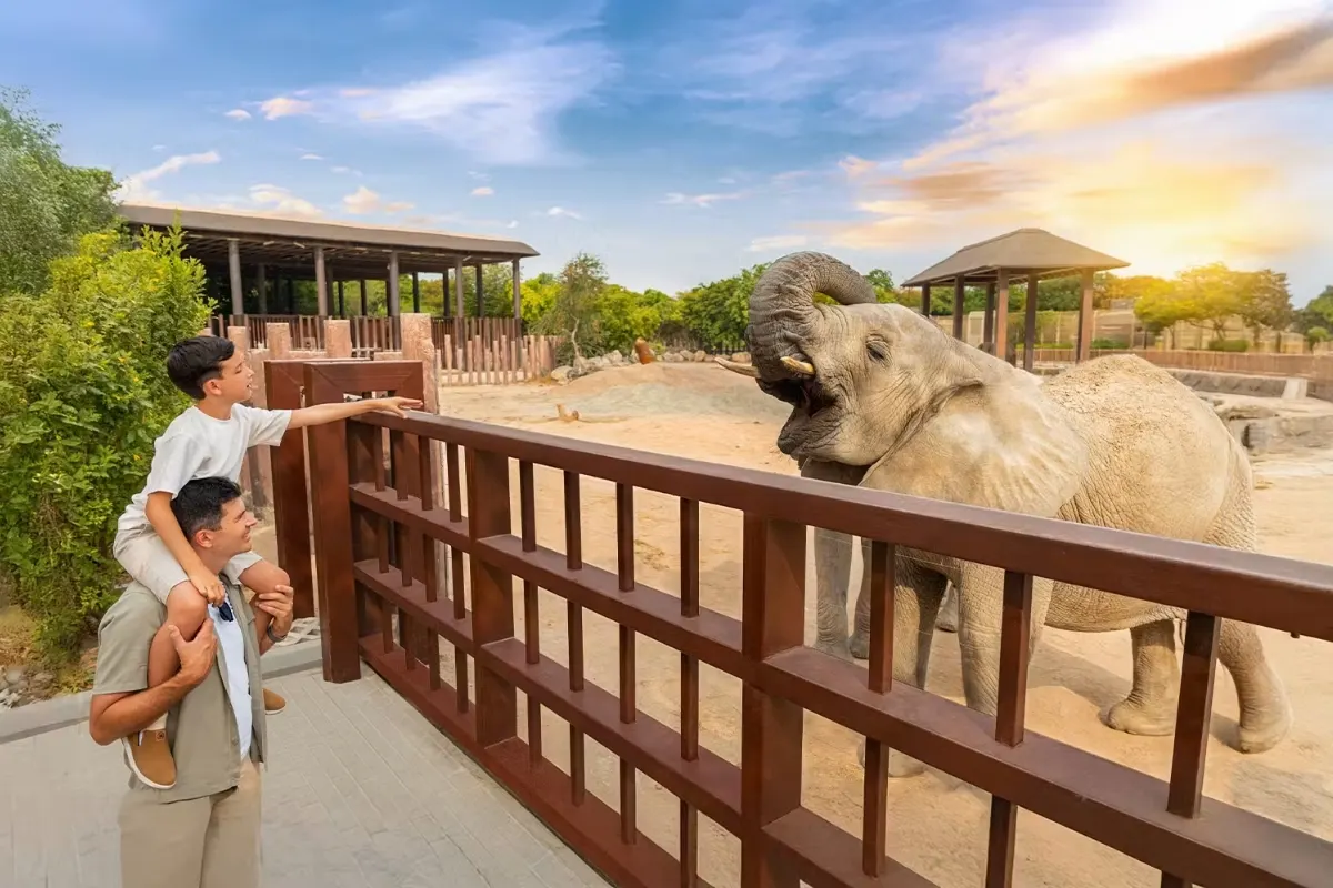 Animal Viewing