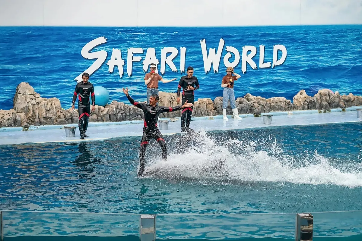 Marine Show