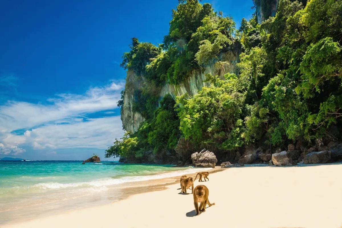 Island Beach