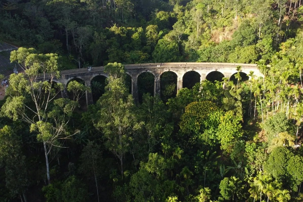 7 Days Sri Lanka Ella Hill Country Escape