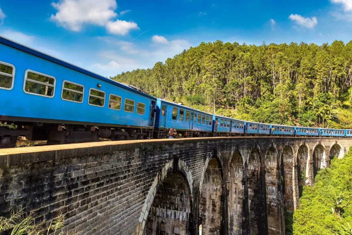 Ella Train