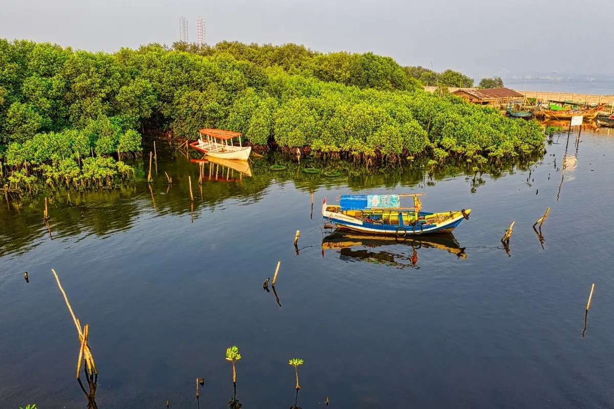 Madu River