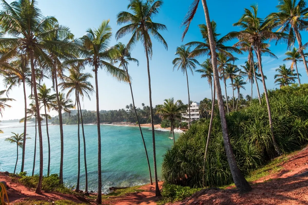 Palm Beach