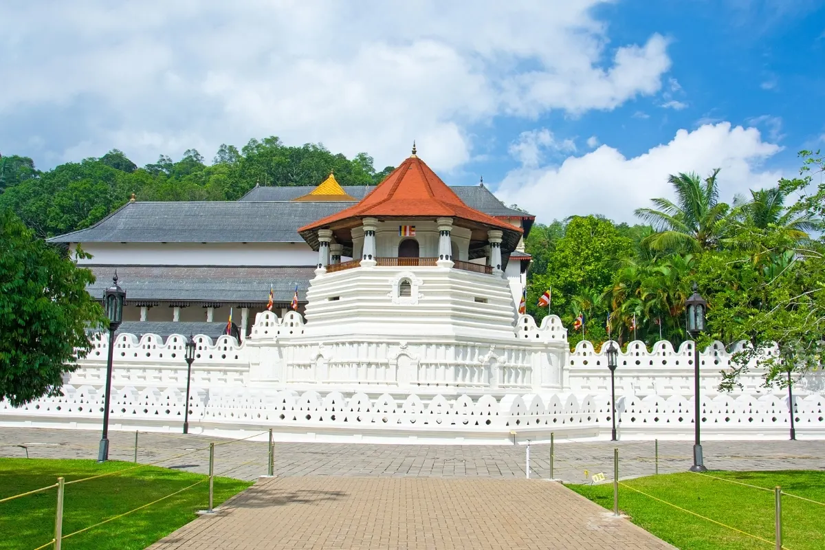 Tooth Temple