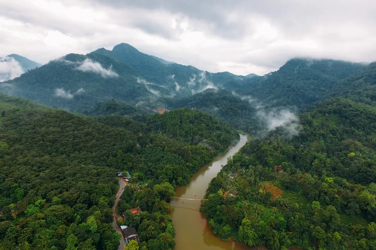 Jungle River