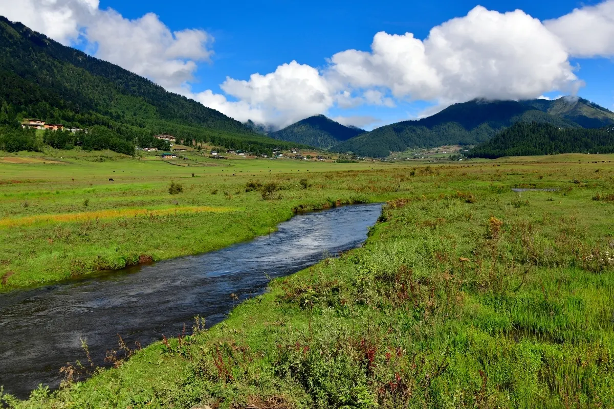 Valley Stream
