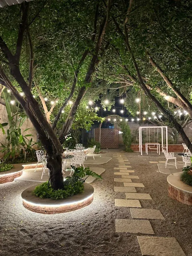 Garden by Night
