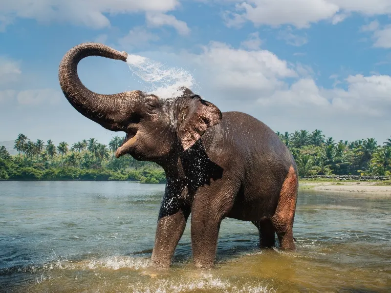 6 Days Guruvayoor Munnar Thekkady Alleppey Yatra