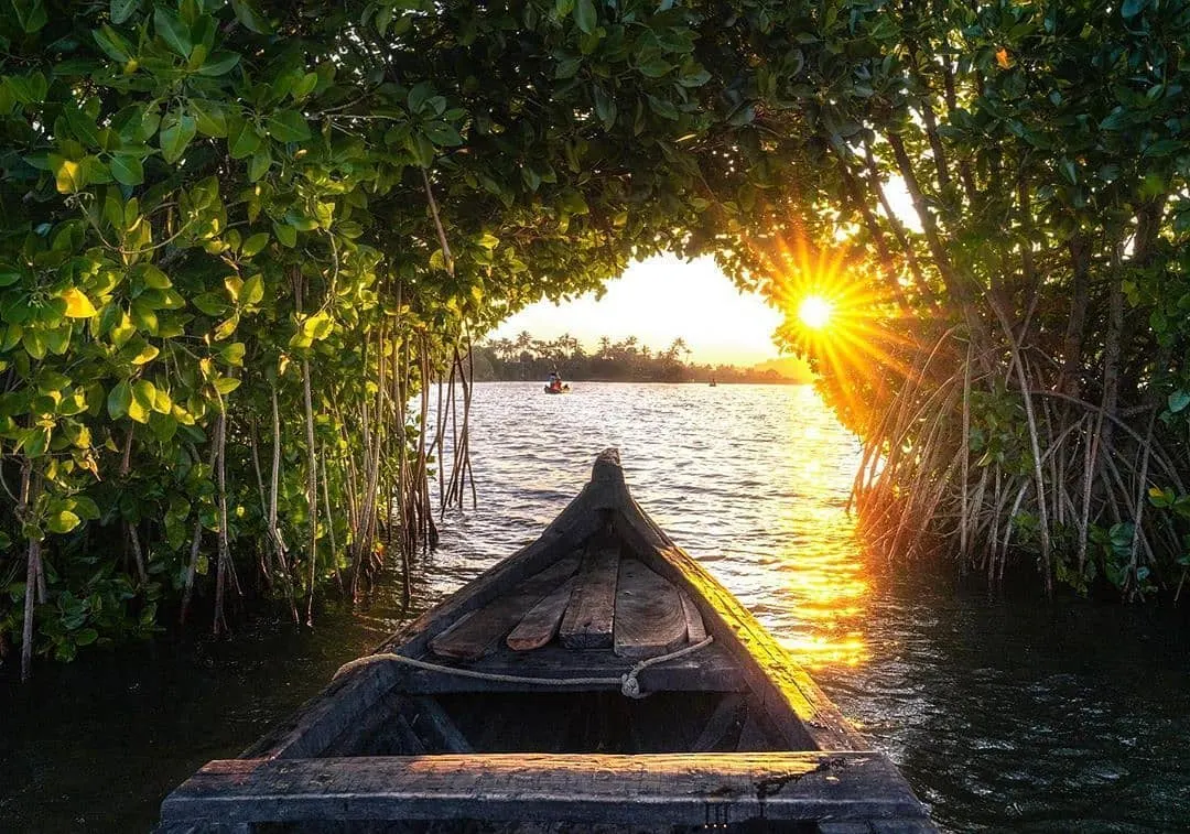 6 Days Munnar Alleppey Varkala Munroe Island Escape