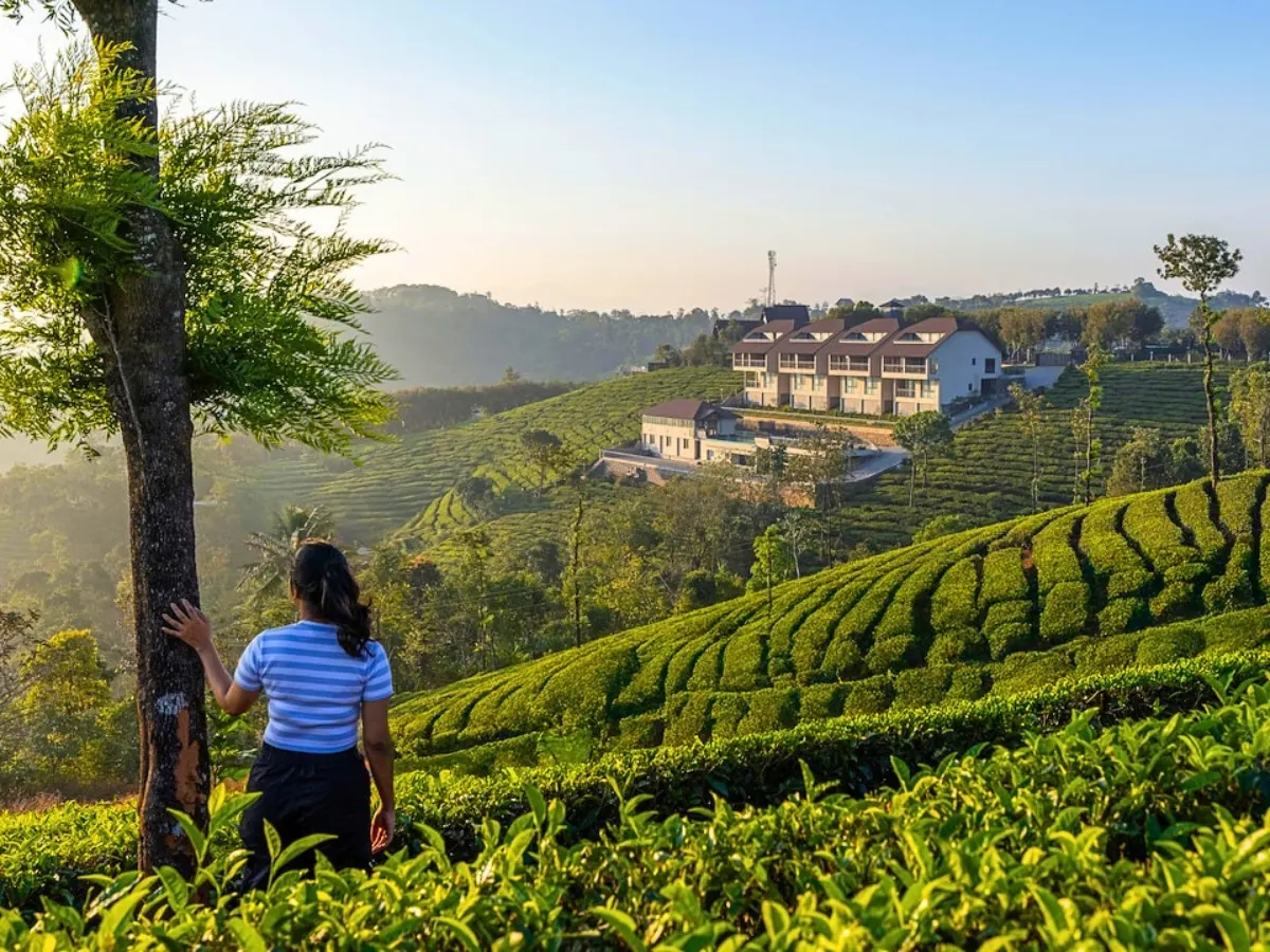 7 Days Munnar Vagamon Alleppey Varkala Luxury Escape