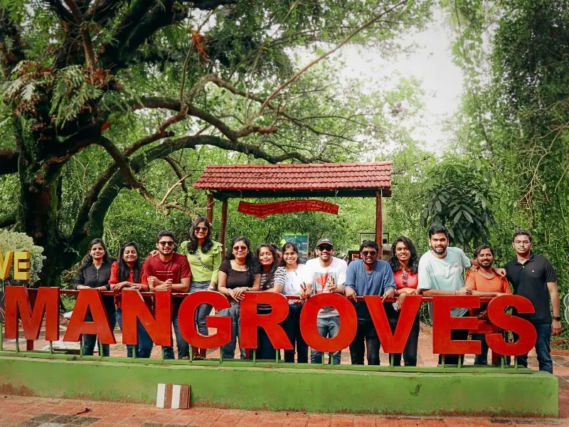 Honnavar mangroves