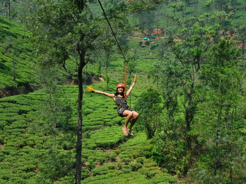 Longest Zipline